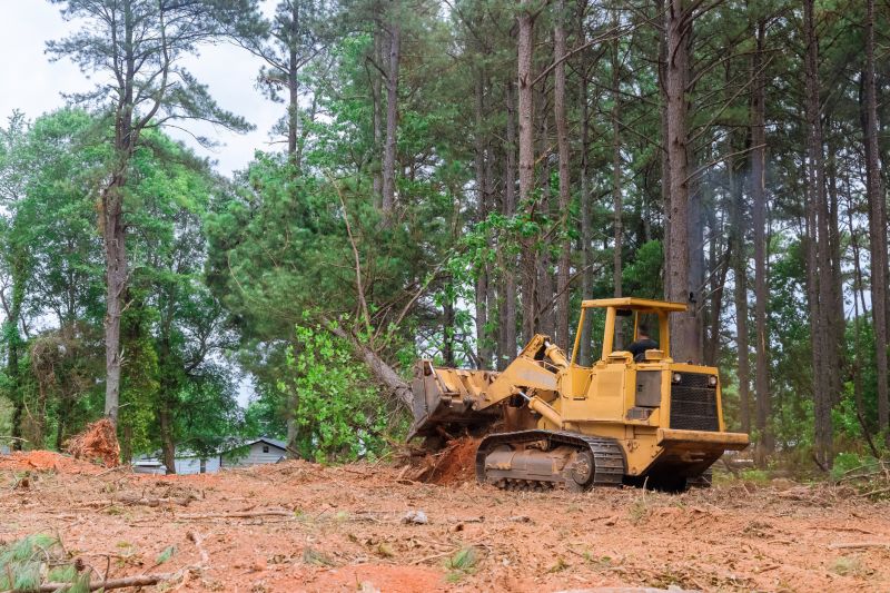 Lake Lot Clearing in Marietta, GA